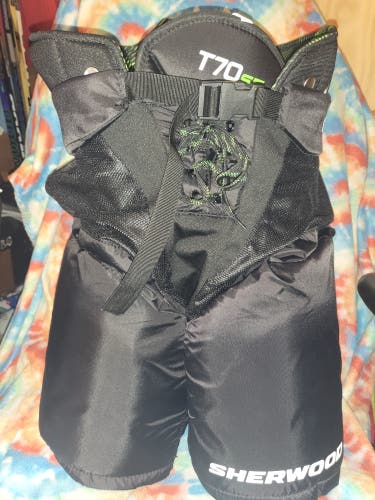 Senior Large Sher-Wood T70SE Hockey Pants (Used)