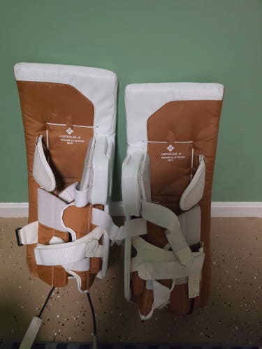 28" 2025 True HZRDUS 7x4 Regular Goalie Full Set (Used)
