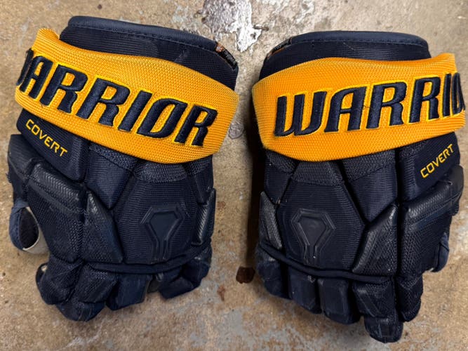 Warrior Covert Pro Gloves 10" (Used)