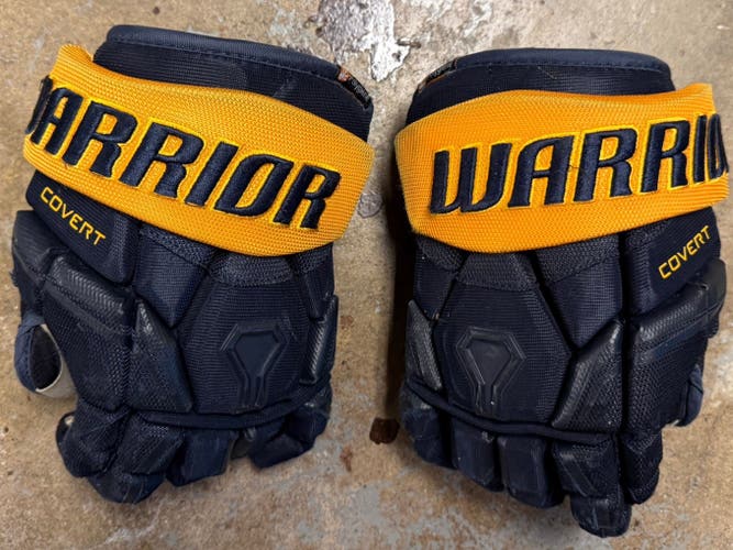 Warrior Covert Pro Gloves 10" (Used)
