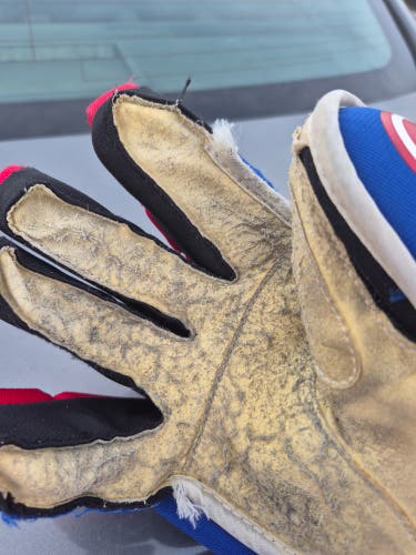 Warrior Alpha Gloves 14" Pro Stock (Used)