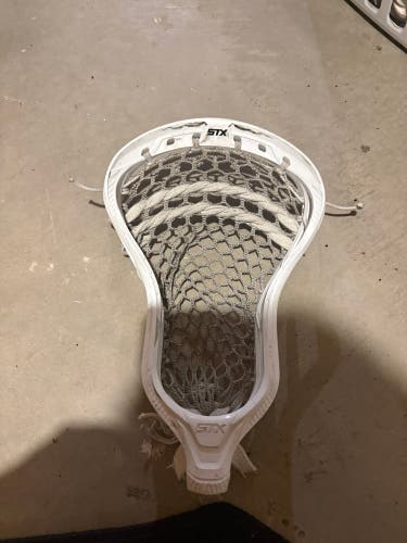 STX Prototype Magnet 2k Head (Used)
