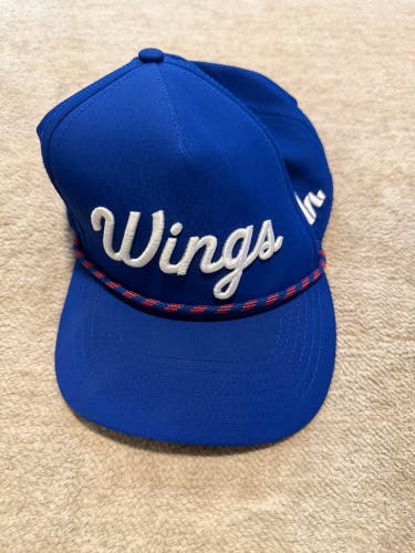 Blue Men's Howies Hat (Used)