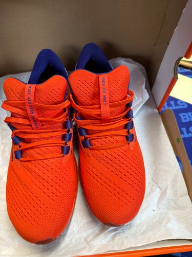 Orange Unisex Size M 10.0 (W 11.0) Adult Nike Pegasus 40 Shoes (New)