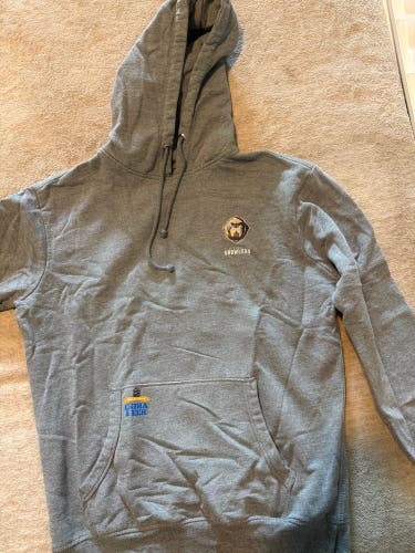 Gray Adult Unisex Large Sweatshirt (Used)