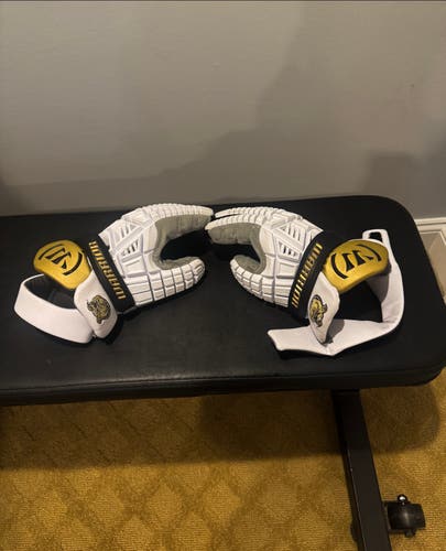 Warrior Evo V Lacrosse Gloves (Used)