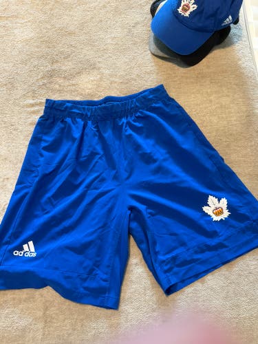 Blue Large Men's Adidas Shorts (Used)