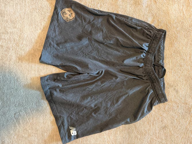 Gray Large Men's New Balance Shorts (Used)