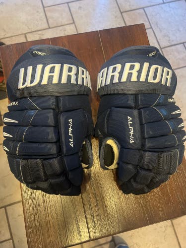 Warrior Alpha DX Pro Gloves 13" Navy
