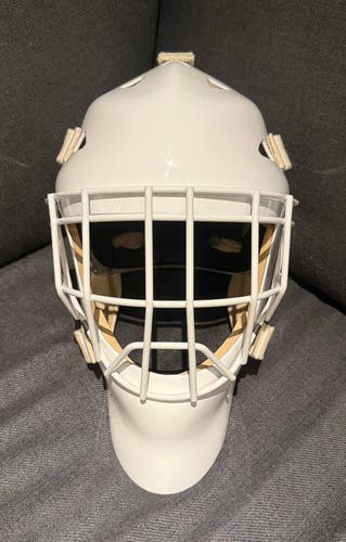 EDDY GT Pro Goalie Mask Pro Stock Size Large (Used)