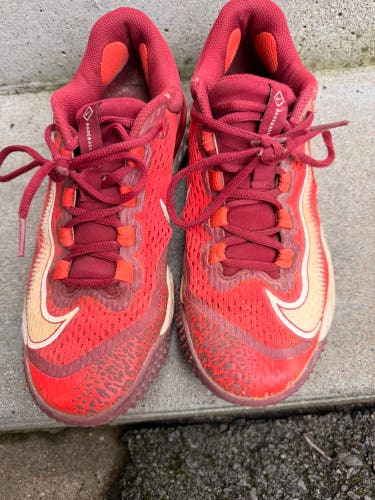 Unisex Size M 8.0 (W 9.0) Adult Nike Shoes (Used)