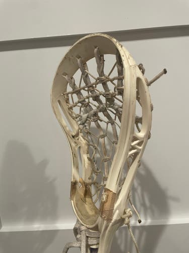 Warrior Cobra (Used)