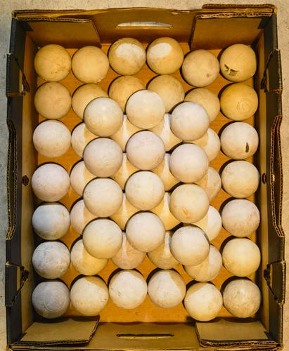 Lacrosse Ball 54 pack (Used)