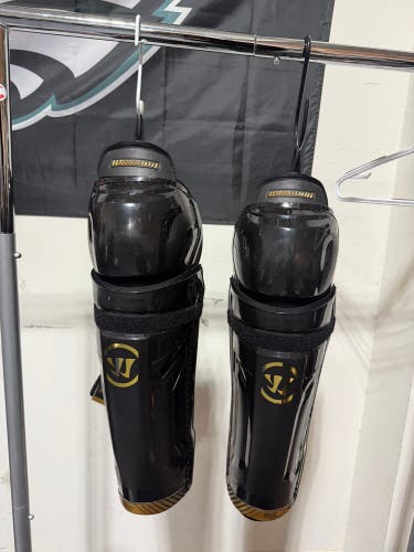 Senior Warrior Pro 16" Shin Pads (Used)
