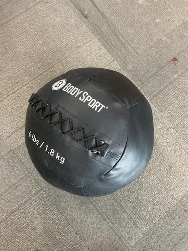 Used BodySport Wall Ball Black 4 lb 11614-S000241156