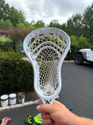 Powell Pioneer Head (Used)