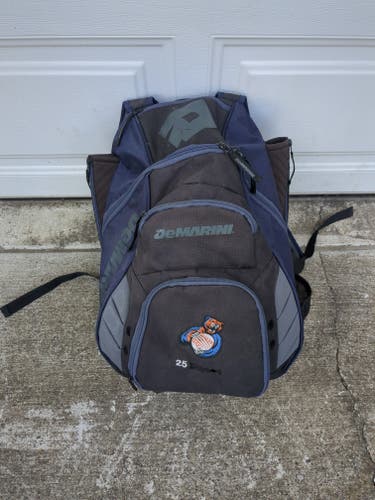 DeMarini Bat Bag (Used)