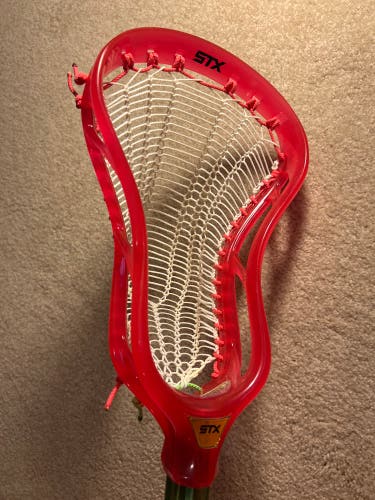 STX Stallion Prism Dragonfruit Head (Like new!)