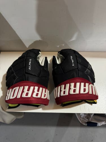 Warrior Alpha DX Pro Gloves 14" Pro Stock Russian spec (Used)