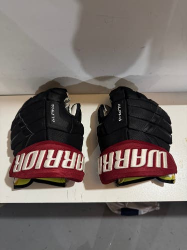 Warrior Alpha DX Pro Gloves 14" Pro Stock Russian spec new palms(Used)