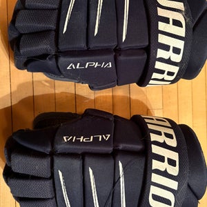 Warrior Alpha QX5 Gloves 11" (Used)