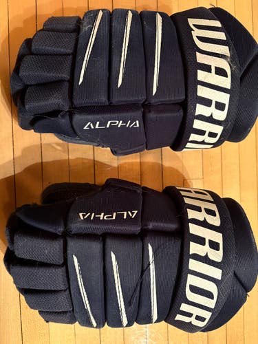 Warrior Alpha QX5 Gloves 11" (Used)