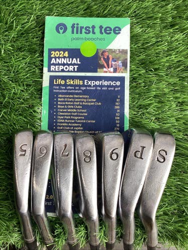 Peerless Golf Palmer Iron Set 5-PW, SW With Regular Steel Shafts