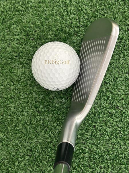 Taylormade P790 21 Forged Iron Set 5-P / Dynamic Gold S200 Stiff