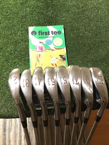 Ben Hogan Radial Irons Set (2-PW, No 8i) Stiff Apex 4 AMF Steel (STD -1/2)