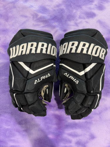 Black Senior Warrior Alpha LX2 Gloves 14" (Used)