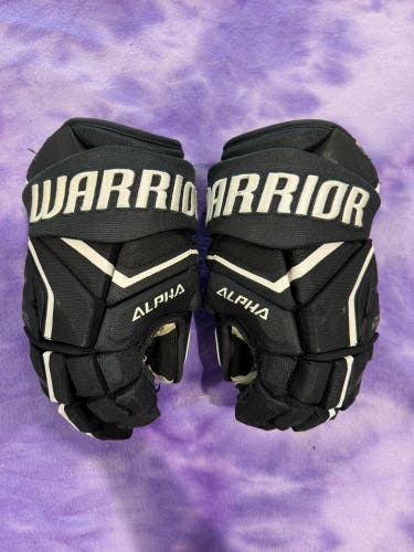 Black Senior Warrior Alpha LX2 Gloves 14" (Used)