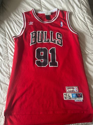 Dennis Rodman Hardwood Classic 95-96 Bulls Jersey