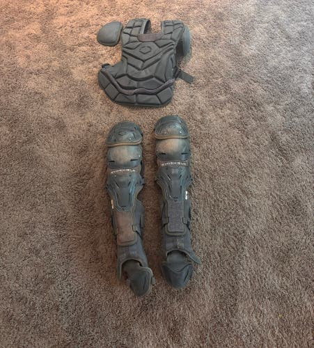 Gray EvoShield Catcher's Set (Used)