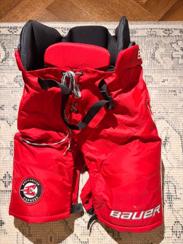 Senior Medium Bauer Custom Pro Hockey Pants (Used)