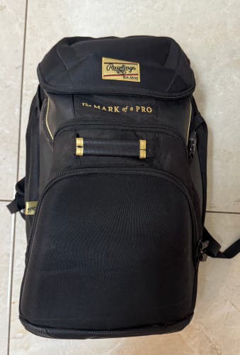 Rawlings Gold Collection Bat Pack (used)
