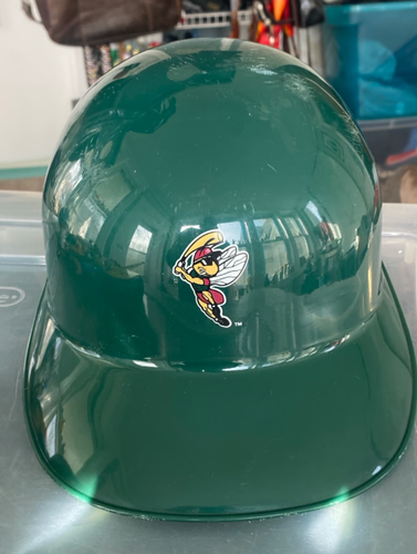 Savannah Sand Gnats iMLB Baseball Helmet Fits Adult Green Hat Plastic