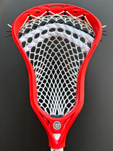 New Warrior Evo QX-O Box Head Custom Strung with 4s Mesh (Sample Stringing)