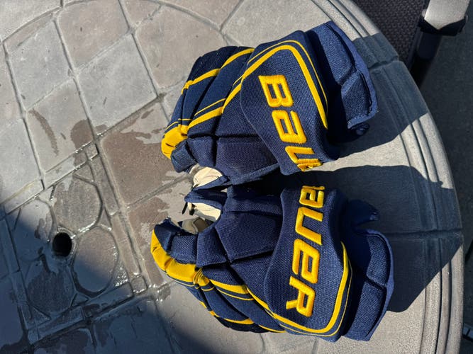 Bauer 1X Pro Lite Pro Stock Gloves – 15” – Merrimack College