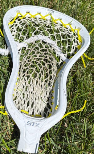STX Stallion 1K Head (Used)