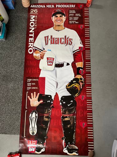 Diamondbacks Miguel Montero Life-Size Growth Chart Poster (Used)