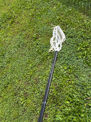 New StringKing Mark 3a on a ECD focus black