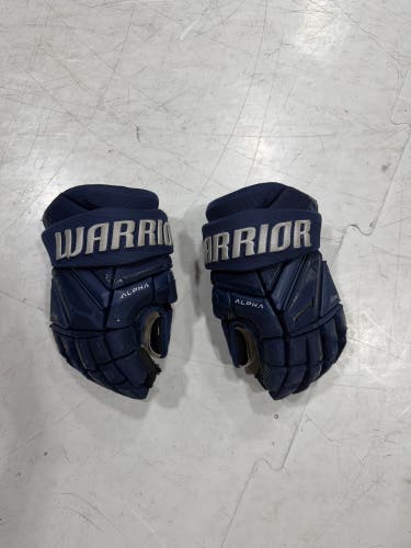 Warrior Alpha Pro Gloves 15" (Used)