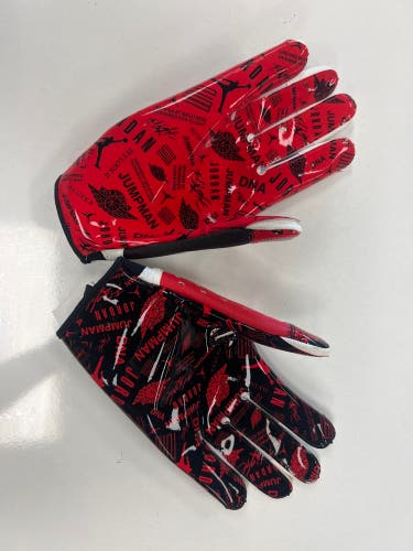 Black Large Adult Jordan Gloves (Used)