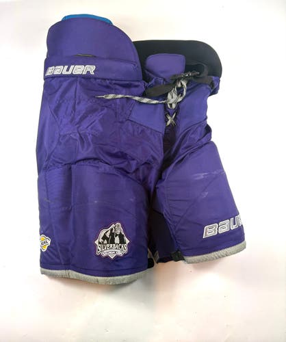 Senior Large Bauer Nexus Pro Hockey Pants (Used)