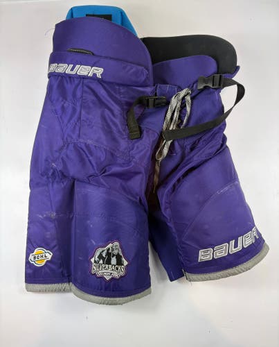 Senior Medium Bauer Nexus Hockey Pants (Used)