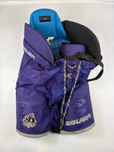 Senior Large Bauer Nexus Hockey Pants (Used)