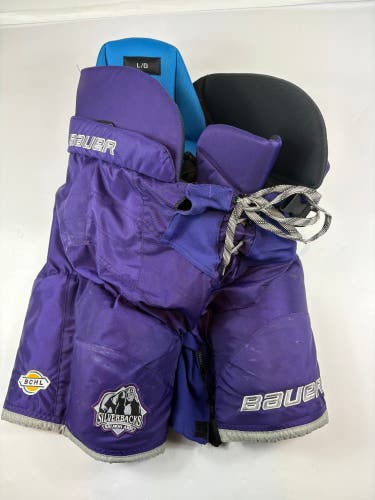 Senior Large Bauer Nexus Hockey Pants (Used)