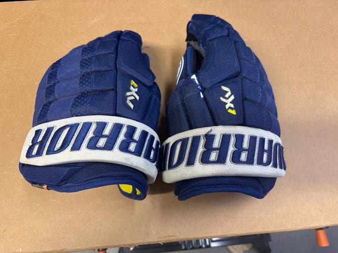 Warrior Dynasty AX1 Gloves 14" (Used)