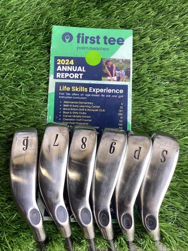 Callaway 2004 Big Bertha Iron Set 6-PW, SW With Regular Graphite Shafts