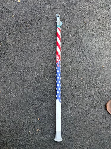 Adult Warrior Evo QX2 Shaft (New)